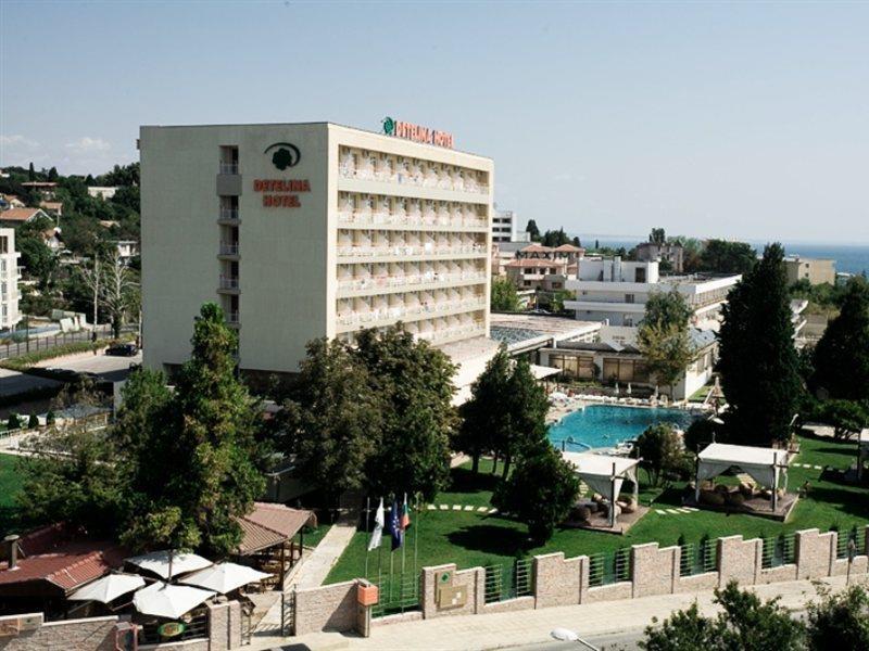 Hotel Detelina
