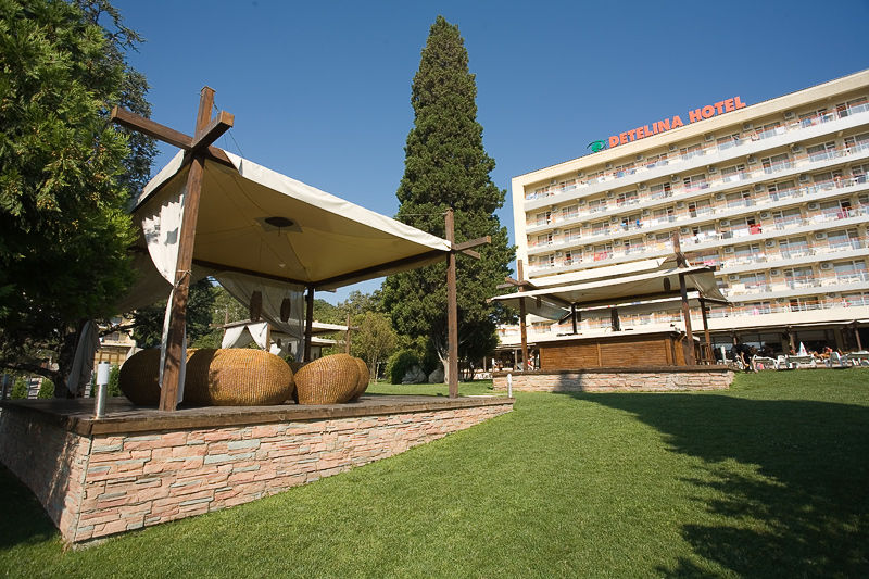 Hotel Detelina