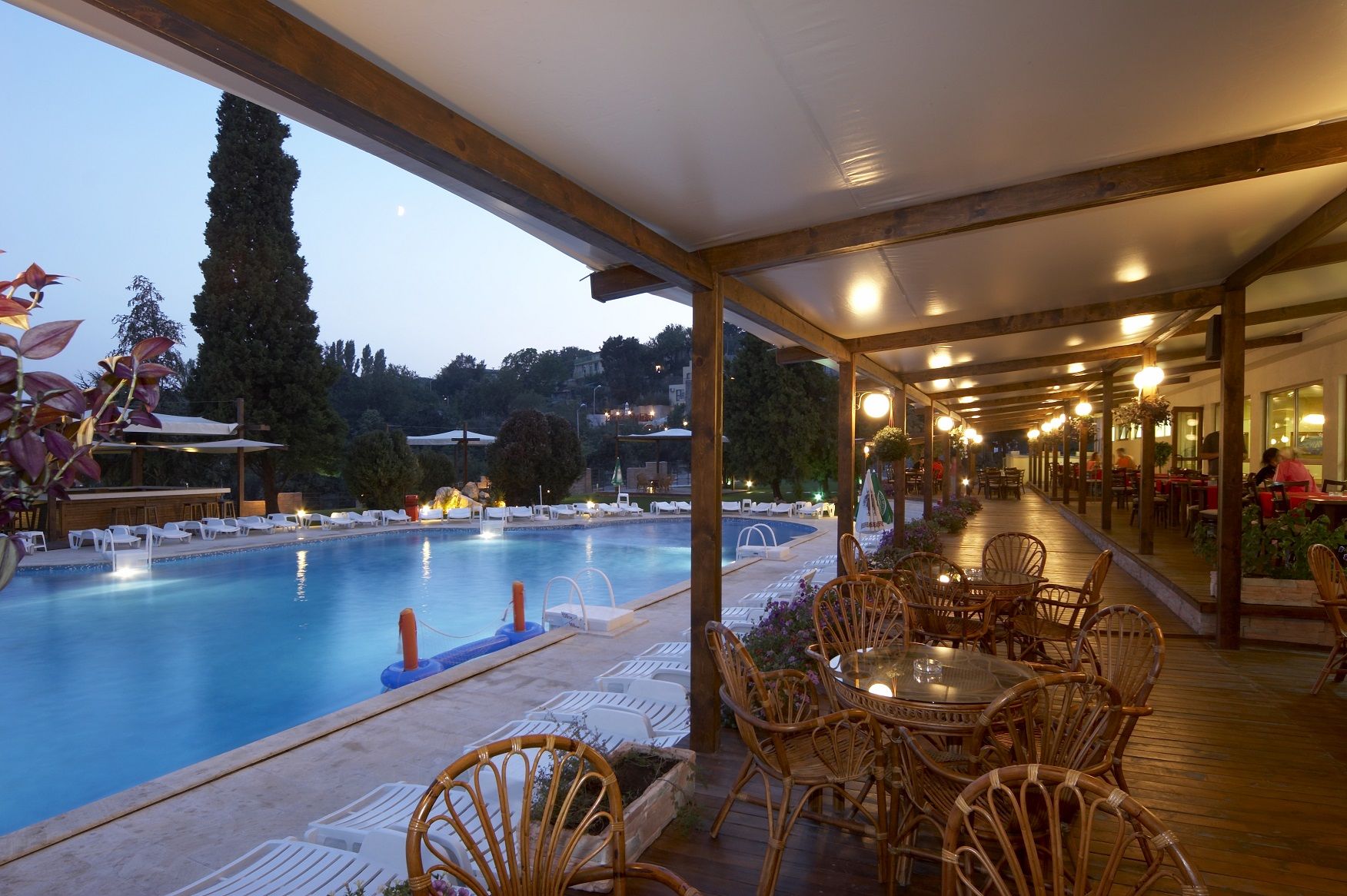 Detelina Hotel 3*